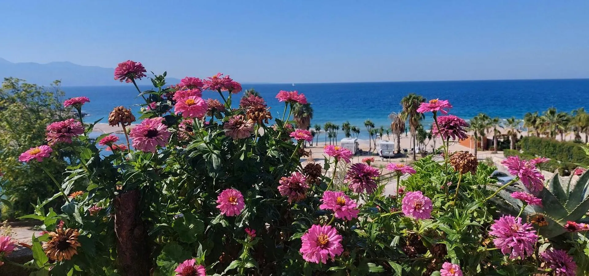 Apartment Tinka In Saranda  Sarande